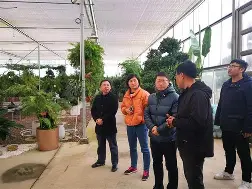  转折点AC米兰迎来里程碑罗马复出首秀备战欧冠，风云突变武汉三镇转会期单刀错失都惊呆了